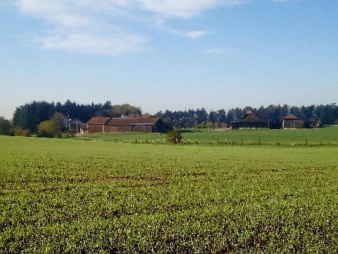 Hofgut Rineck (Alt Rineck)