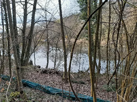 Hohbergsee Lahr