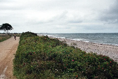 Hohenfelde (Krs. Plön), Weg Am Strand