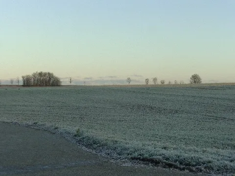 Hohenloher Ebene Bei Hesselbronn, 2016 11