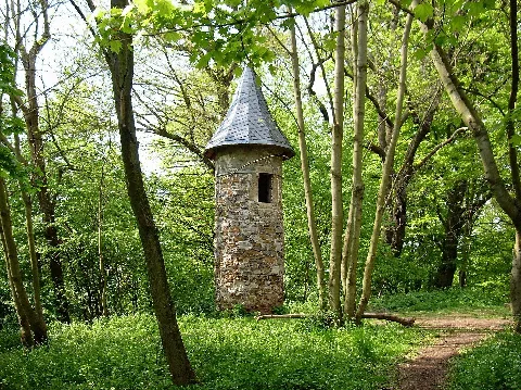 Hohenrode Wartt A