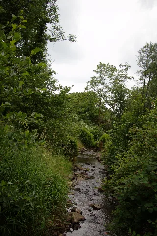 Hoher Vogelsberg Schotten Sichenhausen Nidder