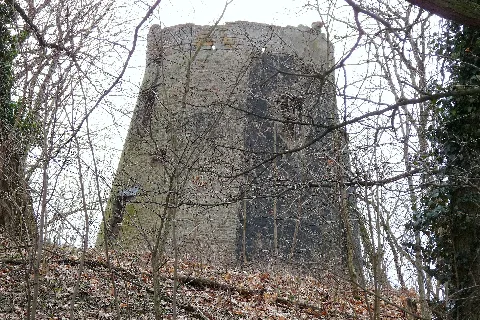 Holländer Mühle Baumgartenbrück (1)