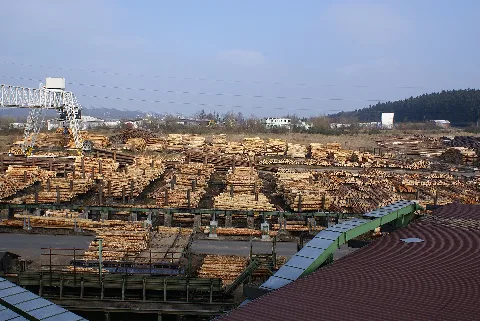 Holzlager