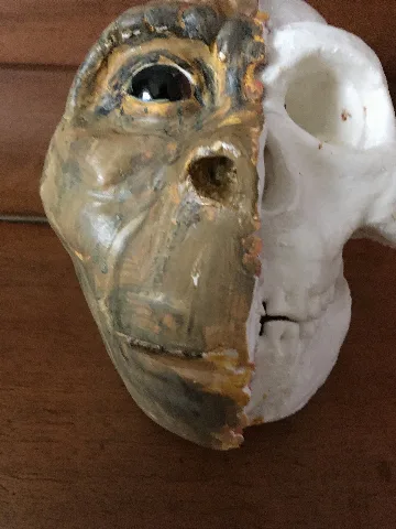 Homo Naledi Facial Reconstruction