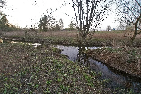 Hoppenbeek Ammersbeek