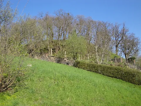 Hrodźišćanske Hrodźišćo 1