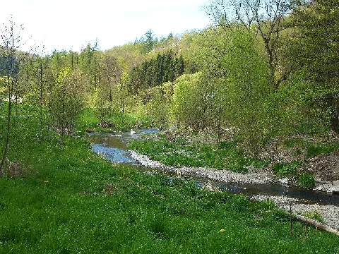 Hsk 286 Ruhrtal Bei Olsberg