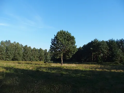 Hühnermoor