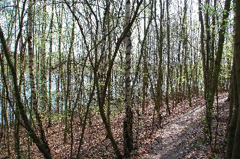 Huerther Waldsee 02