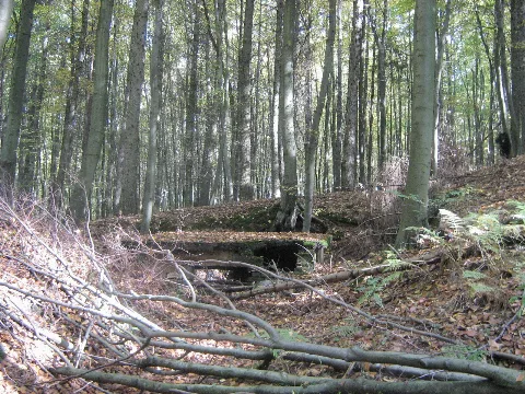 Hütte Im Warndtwald Panoramio