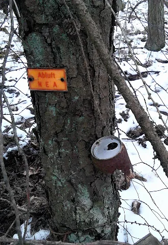 Hüttenwald Nea Abluft