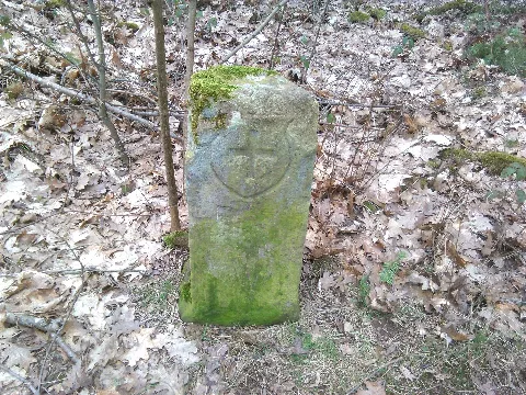 Hüttigweiler12A