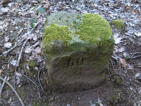 Hüttigweilernr40