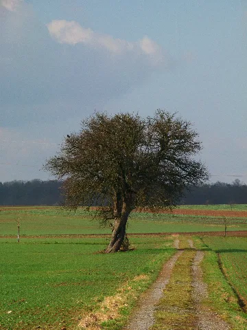 Hug Panoramio