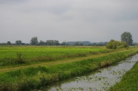Huntebruch