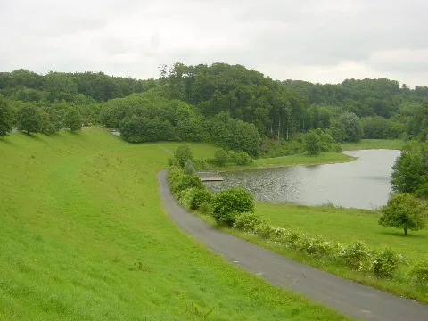Husen Dalheim (Rückhaltebecken)