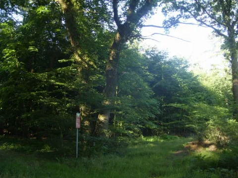 Huuss Im Flögelner Holz 01
