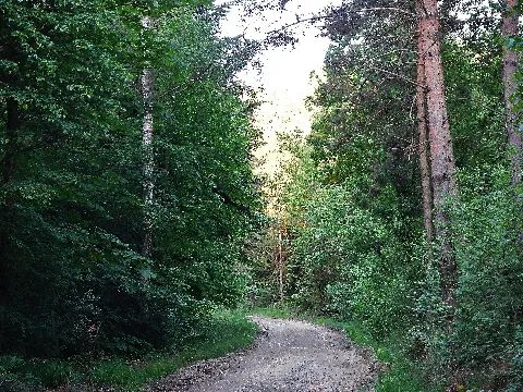 Hw3, Main Neckar Rhein Weg, Pulzweg Panoramio