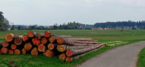 Igelsloch Panoramio