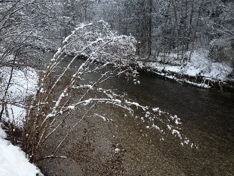 Ilfis Langnau