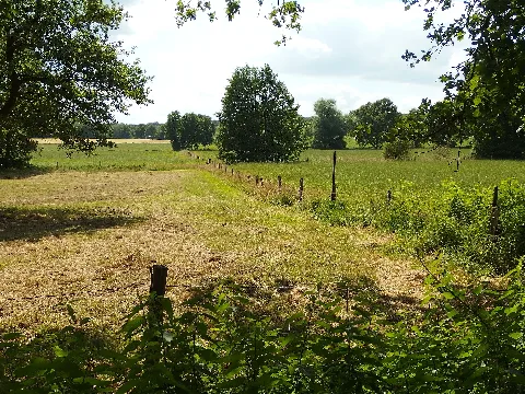 Im Fort (Ob 003) Oberhausen, Nrw, D, Blick Westlich Der Fortstrasse Richtung Bab A3