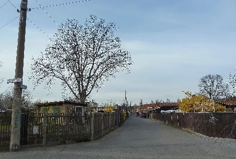 Im Kleingartenpark 03