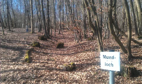 Imag0674
