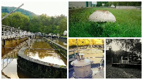 Impressionen Kläranlage Enkenbach