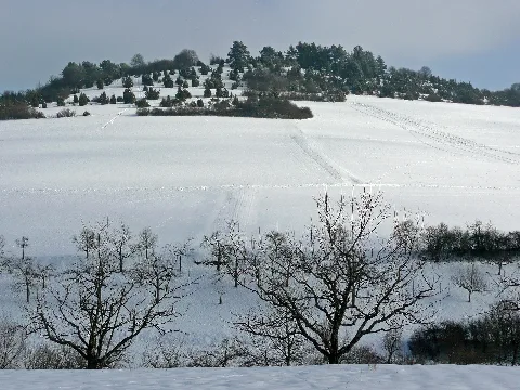 In Der Nähe Von Dachtel Panoramio