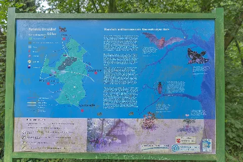 Infotafel Im Neuenburger Urwald 20200912 Dsc3680