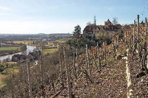 Ingersheim (Neckar) Kleiningersheim Schloss Ansicht Vom Schönblick Mit Weinbergen