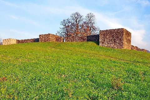 Irgenhausen Castrum Img 5388