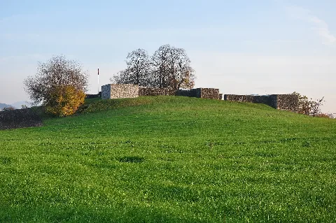 Irgenhausen Castrum Img 5389