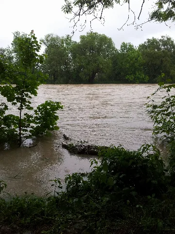 Isar Hochwasser Freising 2013 01