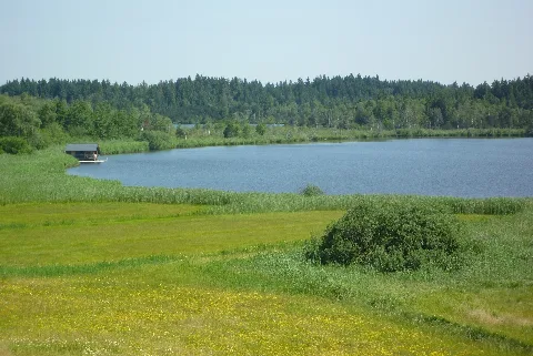 Isny Großer Ursee Im Taufmoos