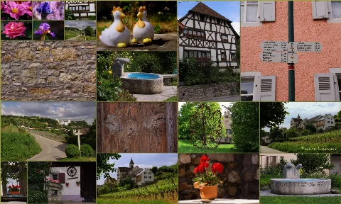 Istein (Efringen Kirchen, Lörrach, Baden Württemberg, Germany) Collage, Spring, 2010