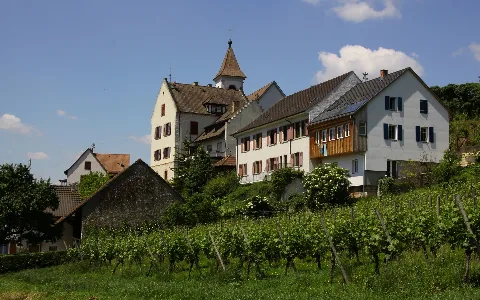 Istein Panoramio (2)