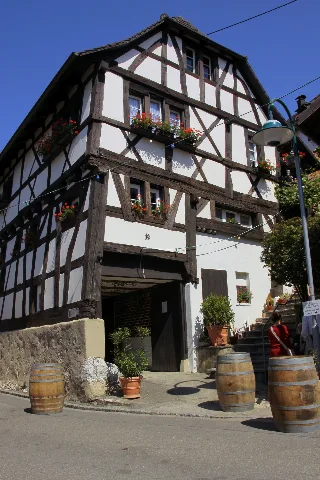 Istein Panoramio (3)