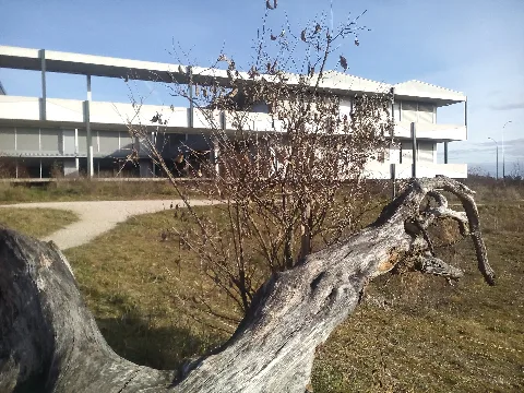 Iucn Headquarters 2016 (2)