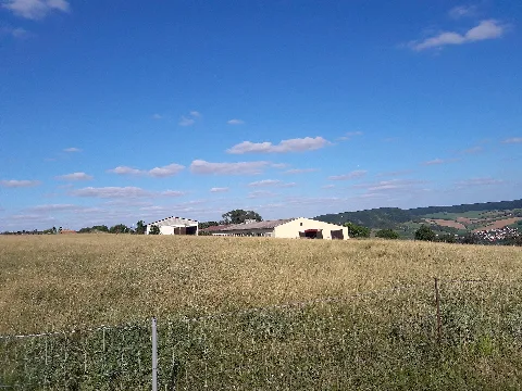 Jägerberg Near Jena 02