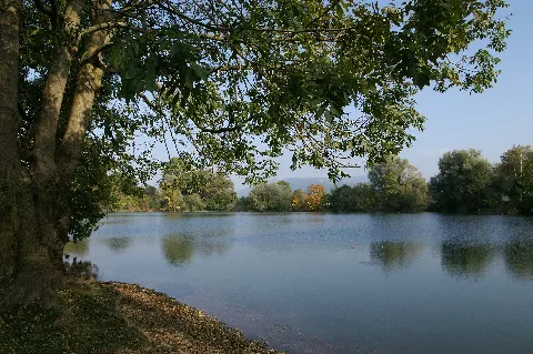 Jannersee1