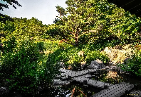 Japanischer Garten Im Westpark Münchens (9784461495)