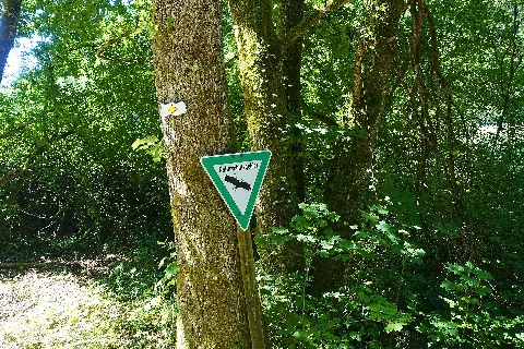 Jestetten Naturschutzgebiet Kapellenhalde Wüster See Bild 1