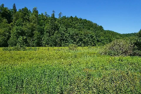 Jestetten Naturschutzgebiet Kapellenhalde Wüster See Bild 3