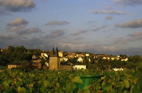 Johannisberg Rheingau Westansicht