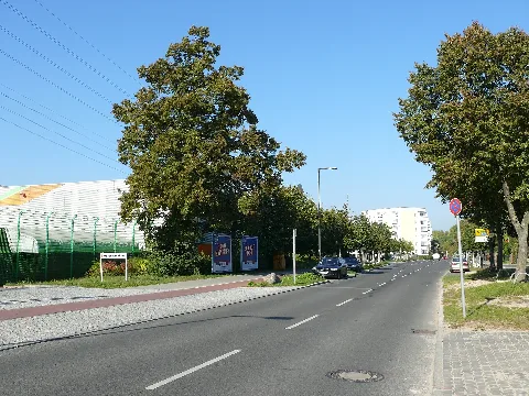 Johannisthal Eisenhutweg 001