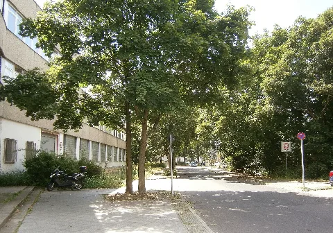 Johannisthal Pietschkerstraße Süd (125)