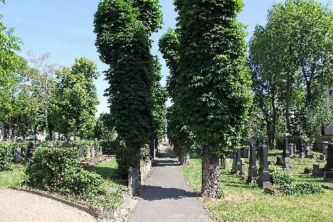 Jüdischer Friedhof 02 Koblenz 2014