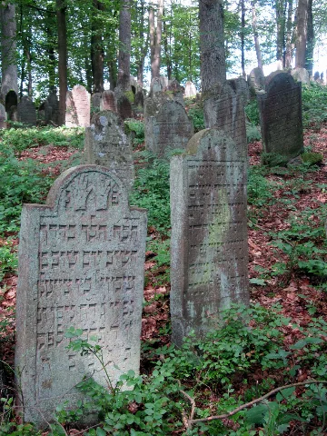 Jüdischer Friedhof Altengronau 2
